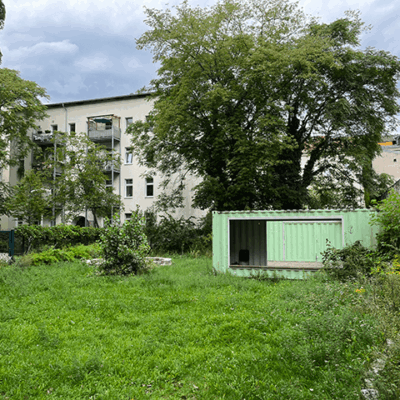 gruenes-klassenzimmer-blick