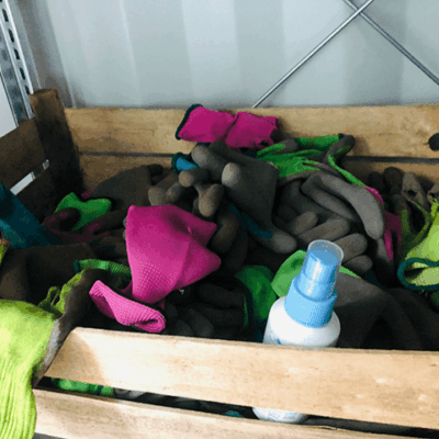 gruenes-klassenzimmer-gartenhandschuhe