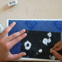 Kulturelle Bildung Massanger Projekt