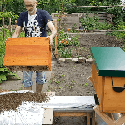 schulgarten-bienenhotel-1