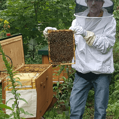schulgarten-bienenhotel-6