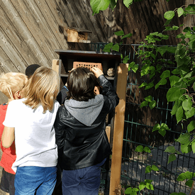 schulgarten-insektenhotel
