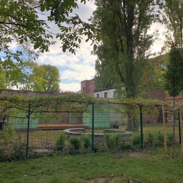 Grünes Klassenzimmer